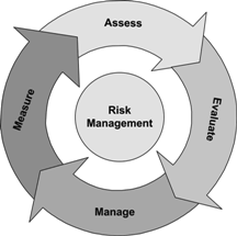 Risk Management Cycle